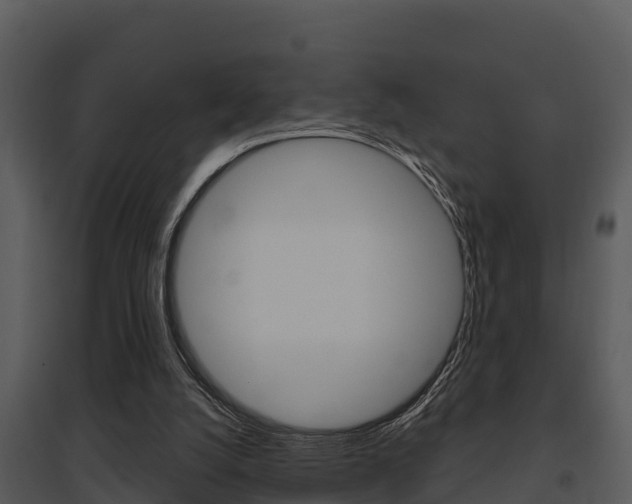 X0000095680056200801081113