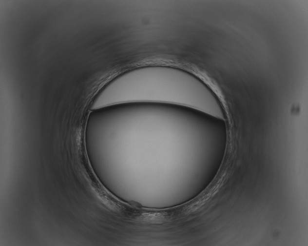 X0000095680057200801081113