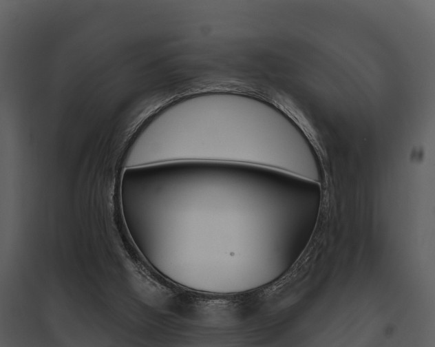 X0000095680058200801081113