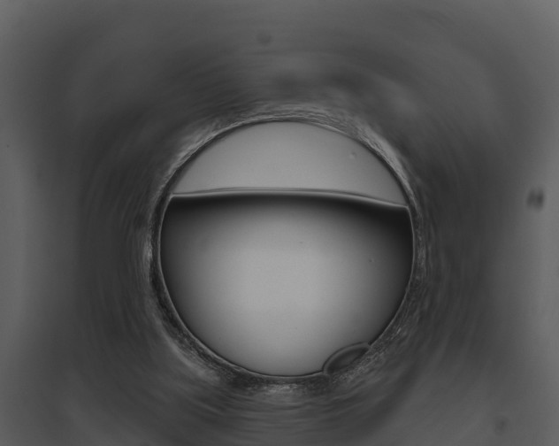 X0000095680059200801081113