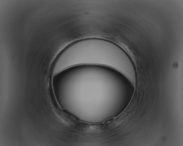 X0000095680060200801081113