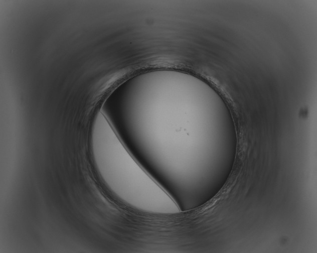X0000095680062200801081113
