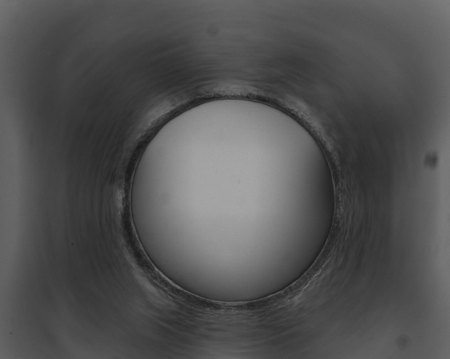 X0000095680063200801081113