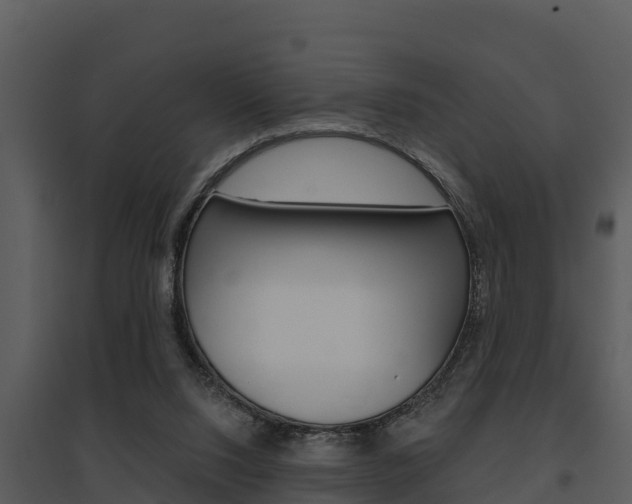 X0000095680064200801081113
