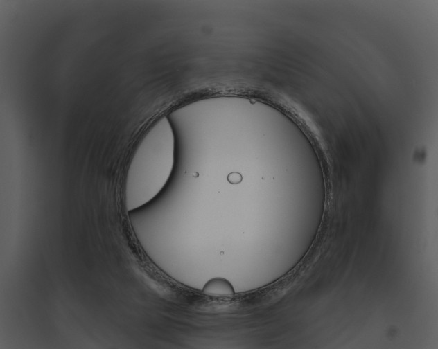 X0000095680065200801081113
