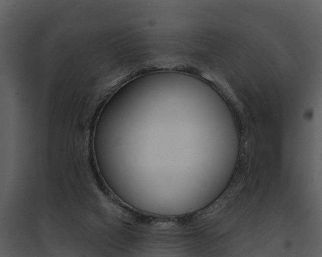 X0000095680066200801081113
