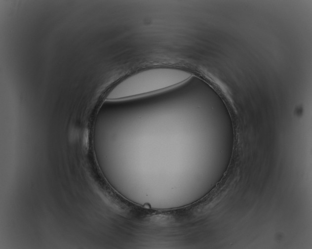 X0000095680067200801081113
