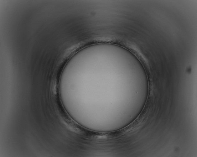 X0000095680068200801081113