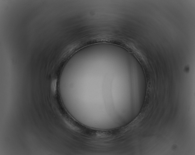 X0000095680070200801081113