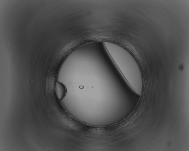 X0000095680071200801081113