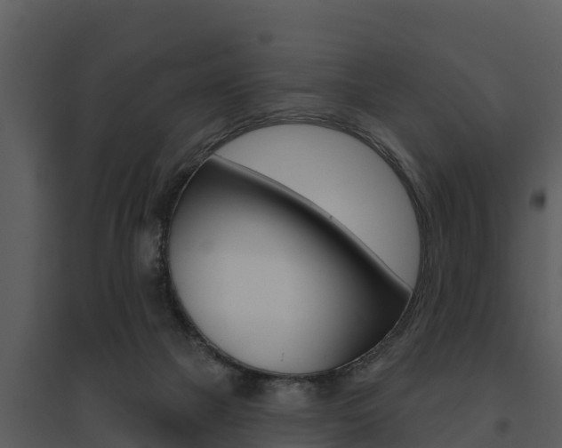 X0000095680073200801081113