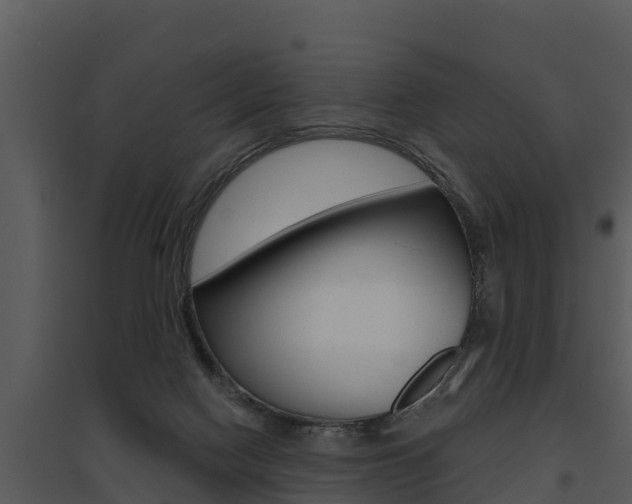 X0000095680074200801081113