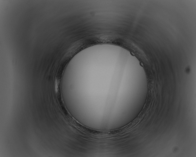 X0000095680075200801081113