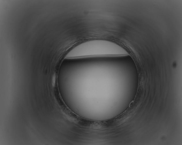 X0000095680076200801081113