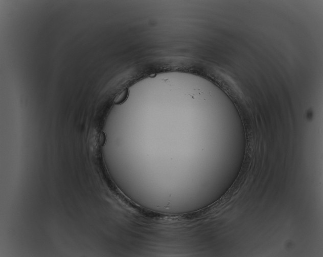 X0000095680077200801081113