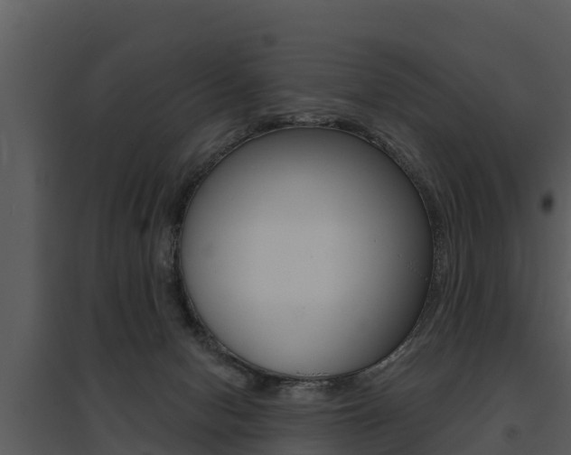 X0000095680078200801081113