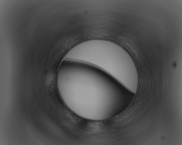 X0000095680079200801081113
