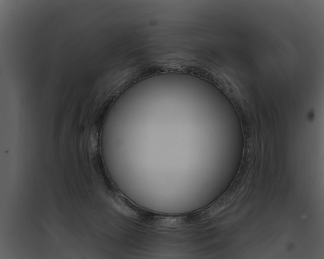 X0000095680081200801081113