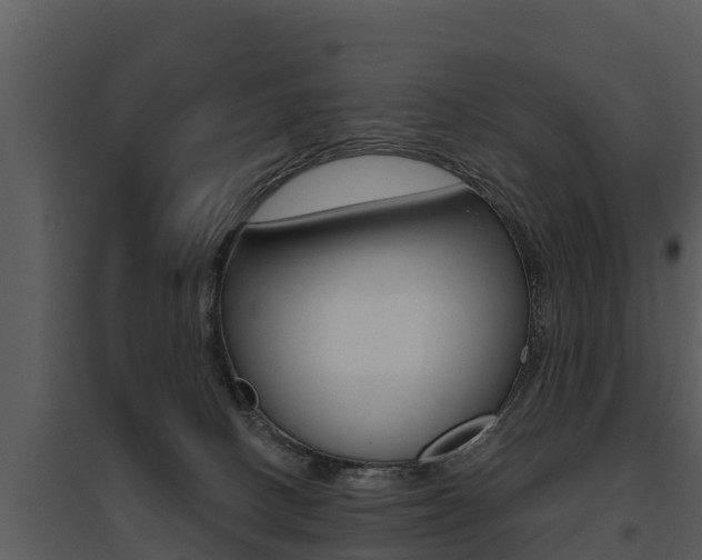 X0000095680082200801081113