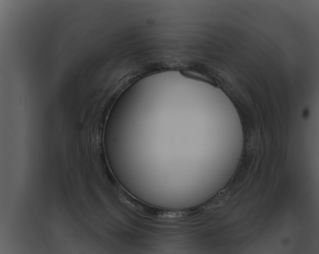 X0000095680084200801081113