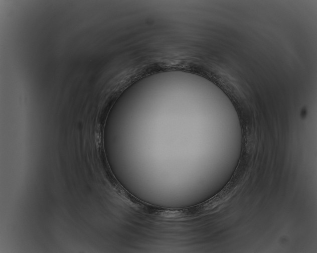 X0000095680085200801081113