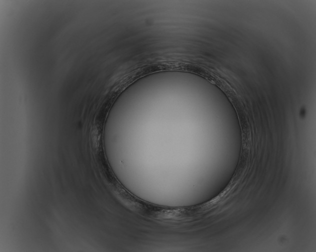 X0000095680086200801081113