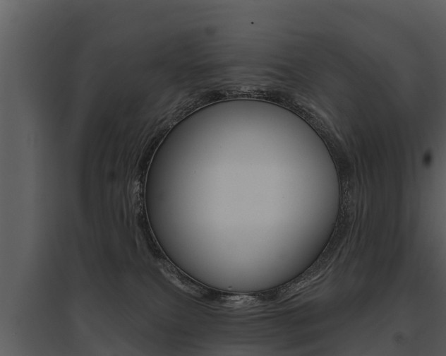 X0000095680087200801081113