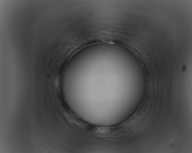 X0000095680088200801081113