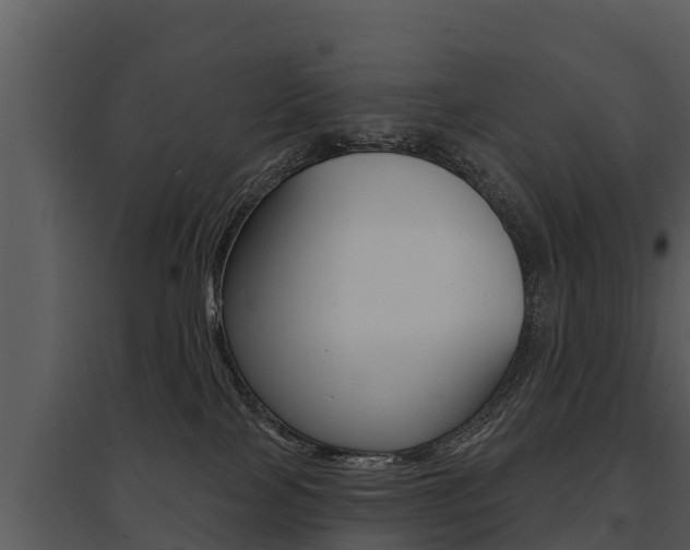 X0000095680089200801081113