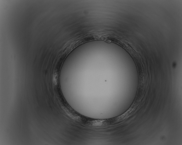 X0000095680090200801081113