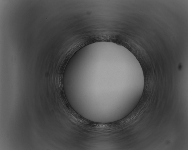 X0000095680091200801081113