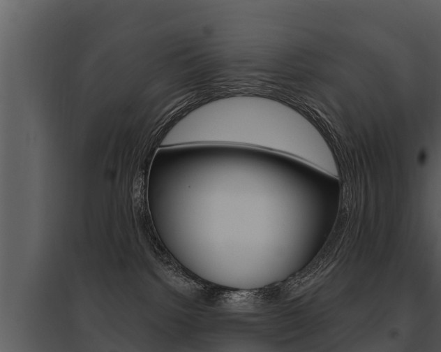 X0000095680092200801081113