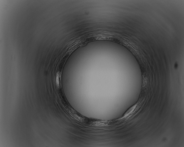 X0000095680094200801081114