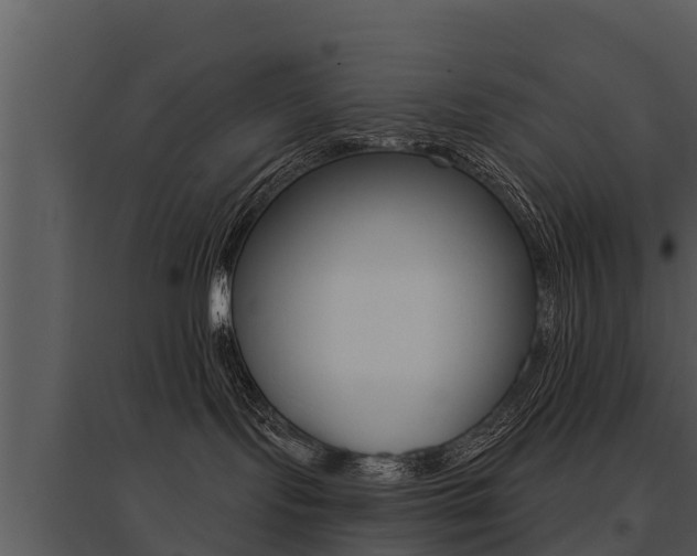 X0000095680095200801081114