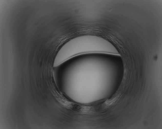 X0000095680096200801081114