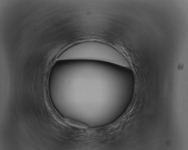 X0000095680097200801081113