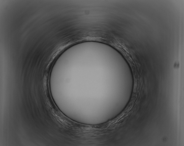 X0000095680098200801081113