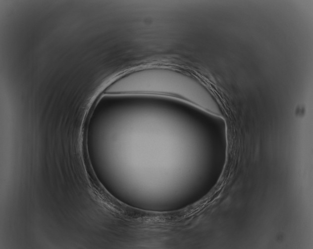 X0000095680100200801081113