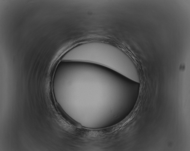 X0000095680101200801081113