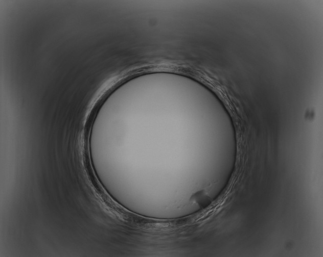 X0000095680102200801081113