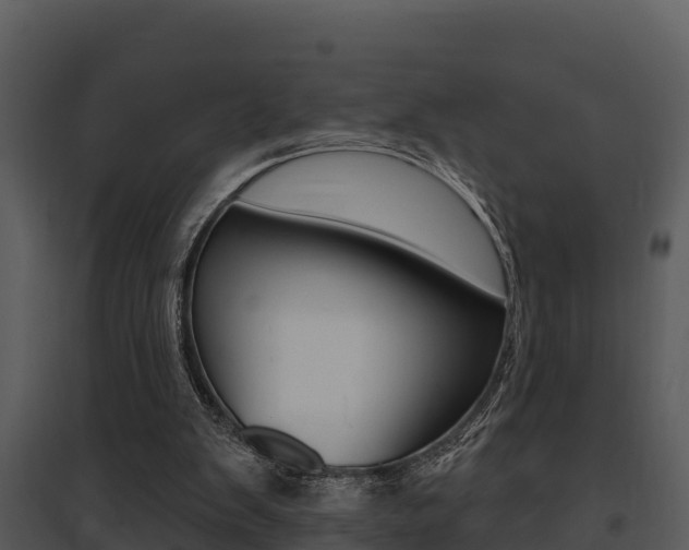 X0000095680103200801081113