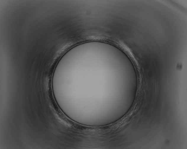 X0000095680106200801081113