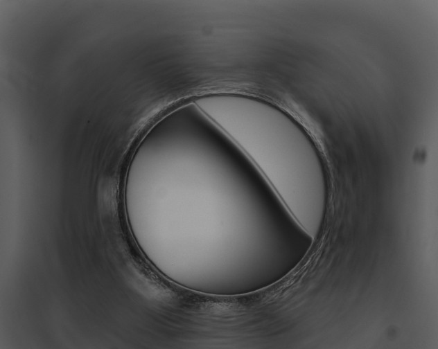 X0000095680107200801081113