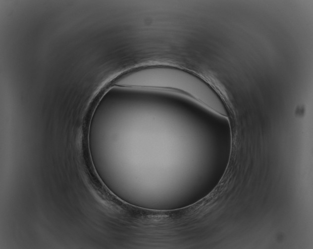 X0000095680108200801081113