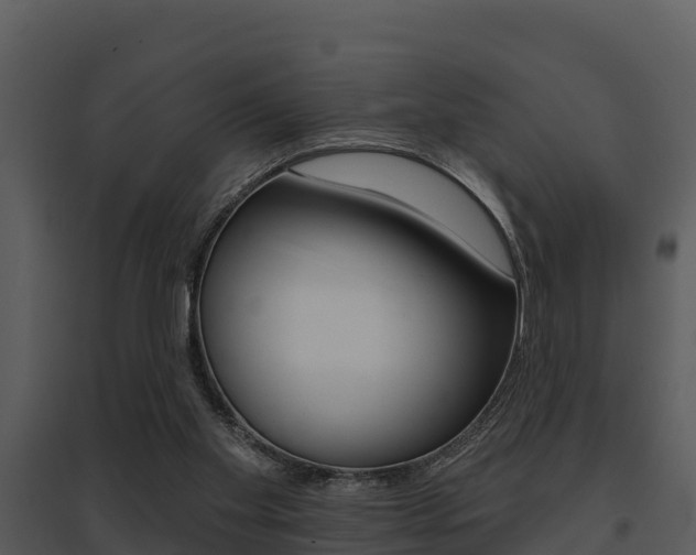 X0000095680109200801081113