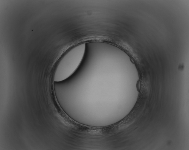 X0000095680110200801081113