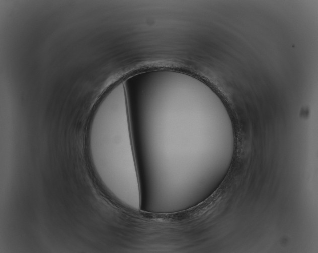 X0000095680111200801081113