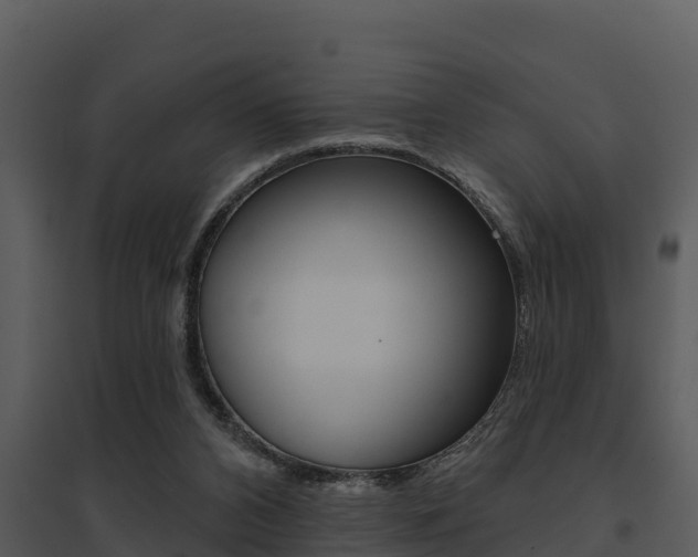 X0000095680112200801081113