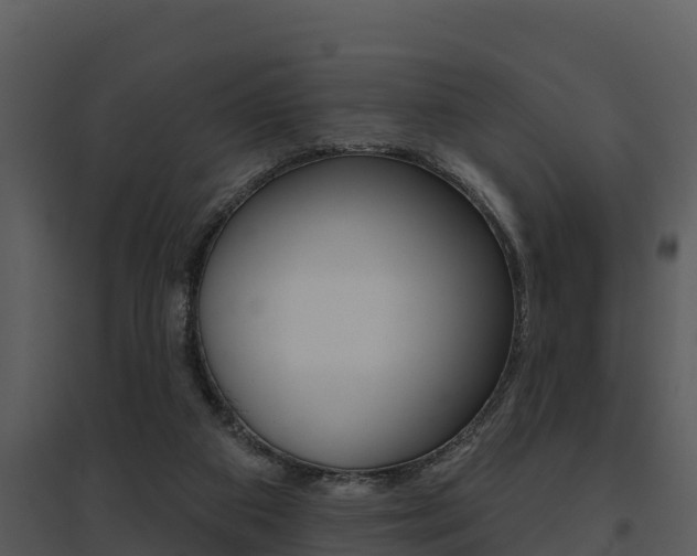 X0000095680113200801081113