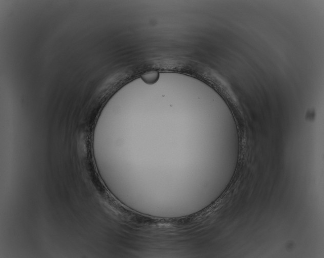 X0000095680114200801081113